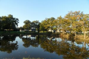 Vue de l'étang du Parc de Loisirs